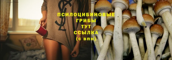 амф Зеленодольск