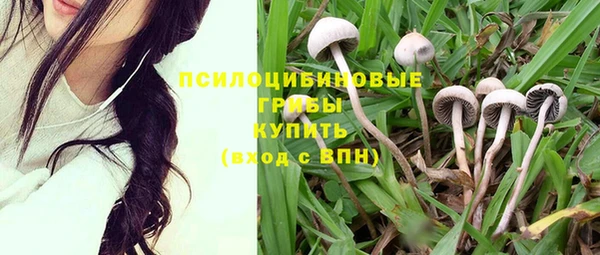 твердый Зерноград