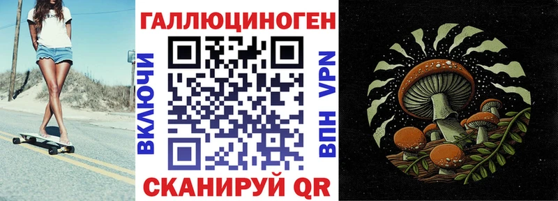 Псилоцибиновые грибы прущие грибы  Купить  Лукоянов 